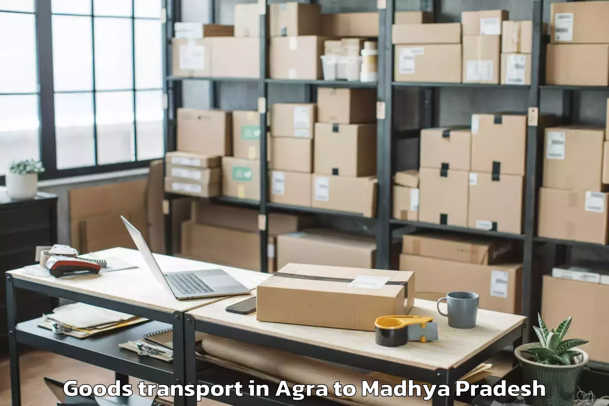 Leading Agra to Abhilashi University Rewa Goods Transport Provider